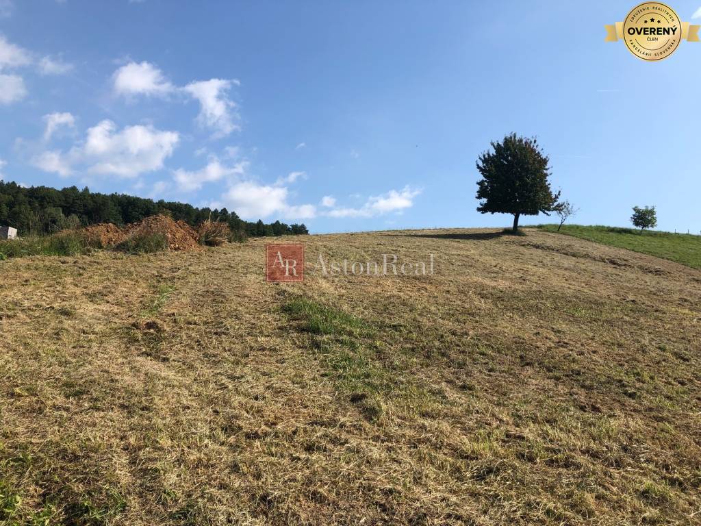 NA PREDAJ: Stavebný pozemok v obci Pruské- 2258 m2