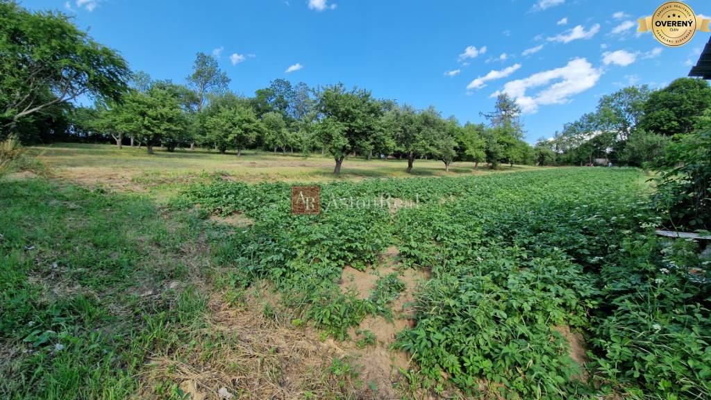 Predaj veľký pozemok možný na investíciu alebo výstavbu. 6130m2