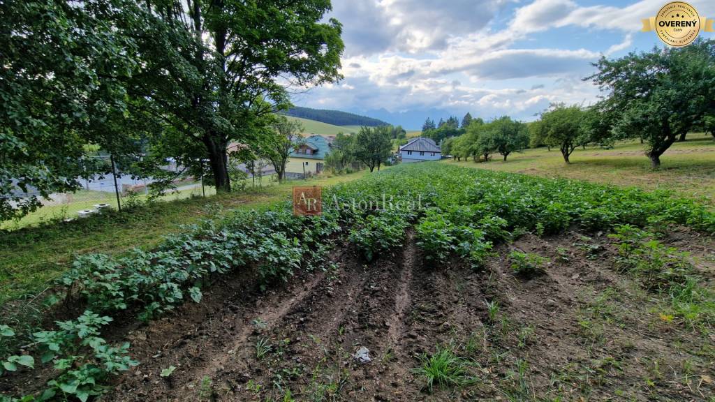 Predaj veľký pozemok možný na investíciu alebo výstavbu. 6130m2