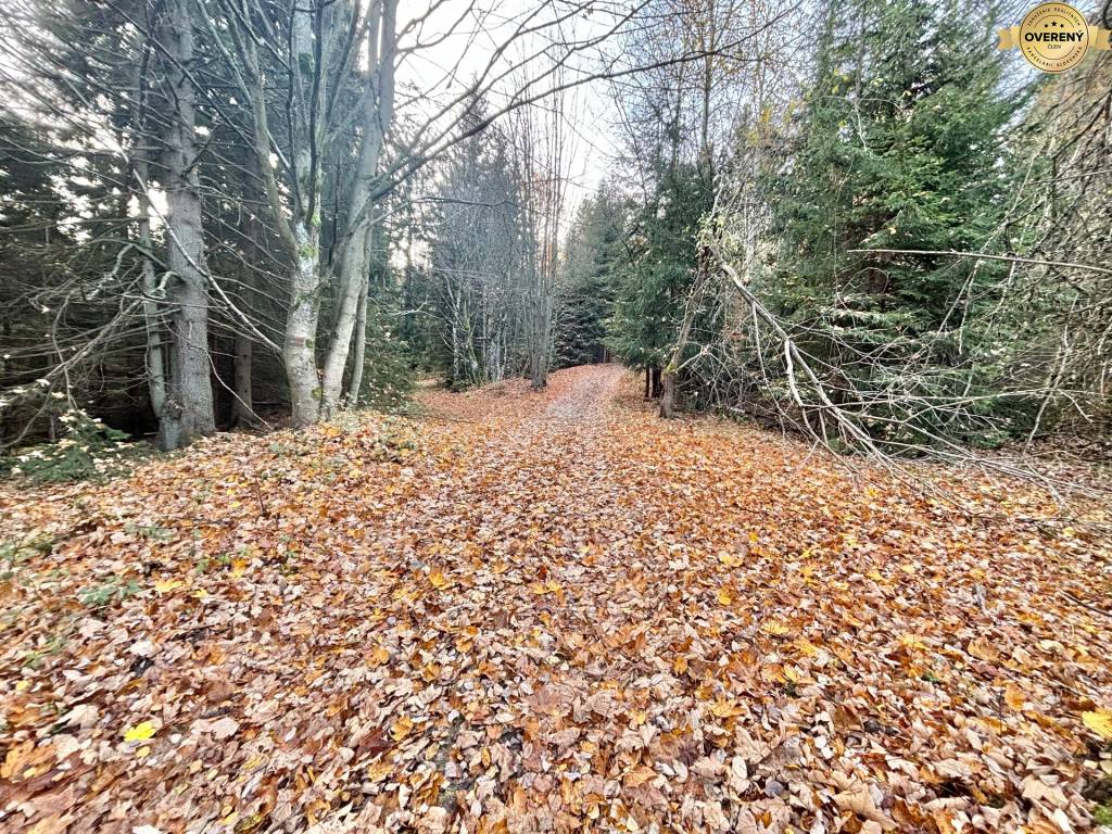 Predaj rekreačného pozemku v Klokočove