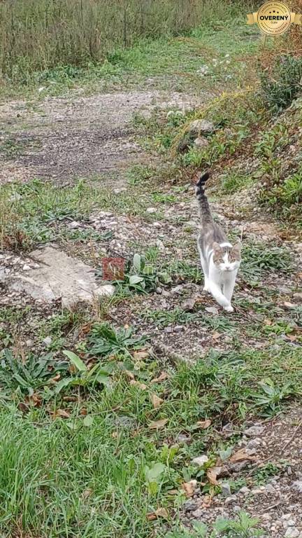 AstonReal ponúka na predaj stavebný pozemok v Domaniži