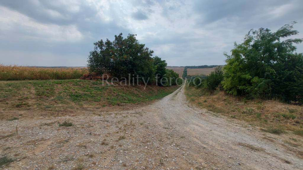 Pozemok v obci Dedinka