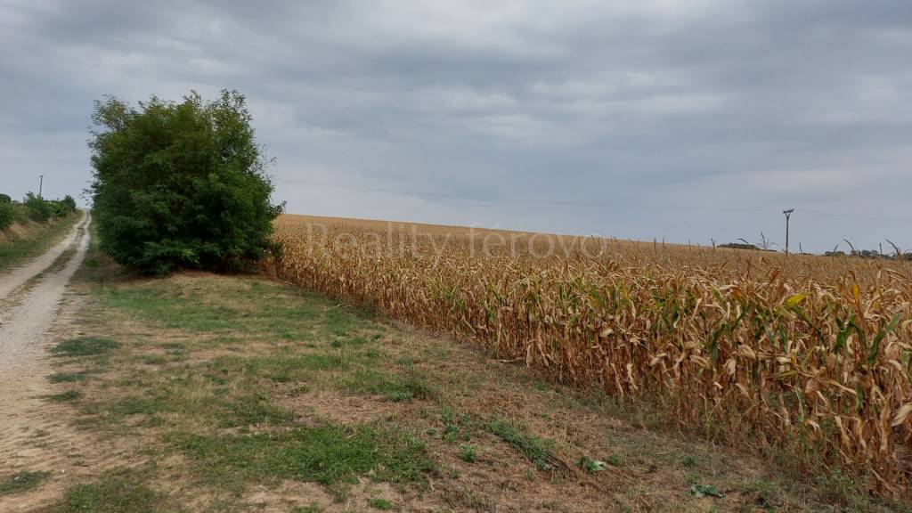 Pozemok v obci Dedinka